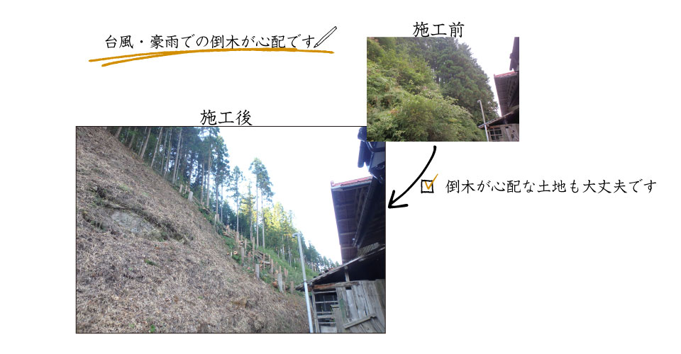 台風・豪雨での倒木が心配です 台風・豪雨での倒木が心配です